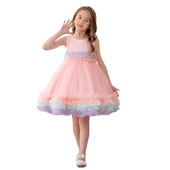 Niren Enterprise Fairy Tail Net Flared Sleeveless Ruffled Pattern Baby Girl Frock